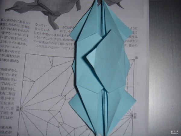 Detailed tutorial on origami pictures of soft-shell turtles