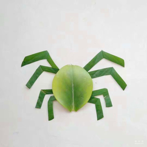 Beautiful and simple little spider leaf collage method