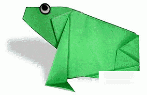 How to make origami frog