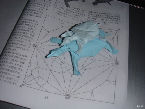 Detailed tutorial on origami pictures of soft-shell turtles