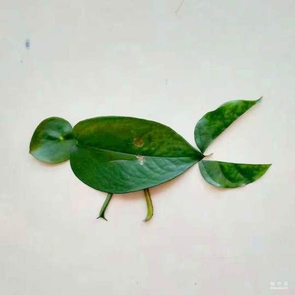 Step-by-step method of hand-painting cartoon bird on leaves