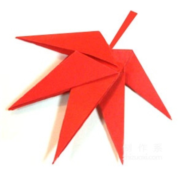 Beautiful maple leaf origami illustrated method tutorial