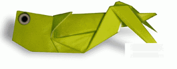 Locust origami method