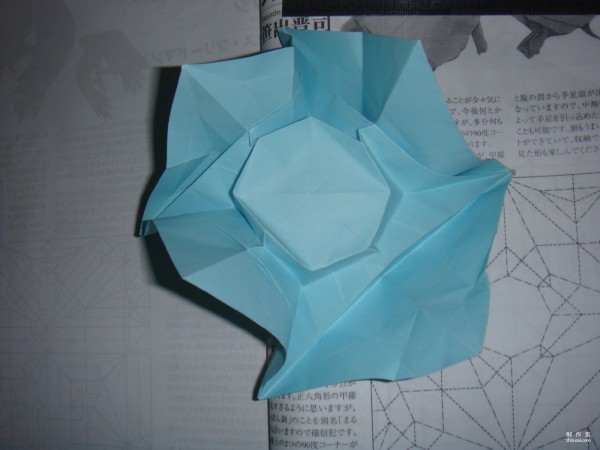 Detailed tutorial on origami pictures of soft-shell turtles