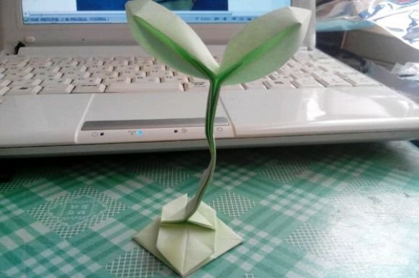 Detailed step-by-step manual origami tutorial on origami a potted sapling