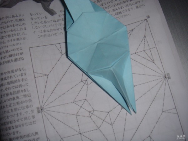 Detailed tutorial on origami pictures of soft-shell turtles