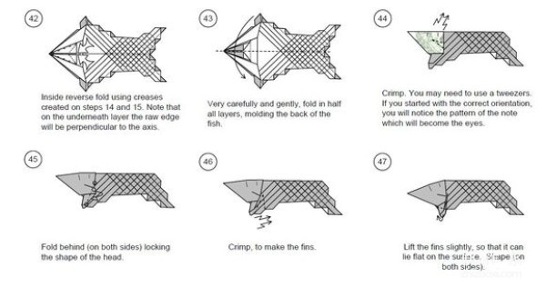 Detailed tutorial of dollar carp origami banknote real shot pictures